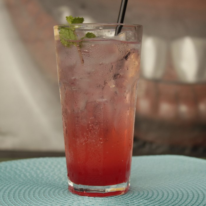 Alabama Slammer (straight-up)