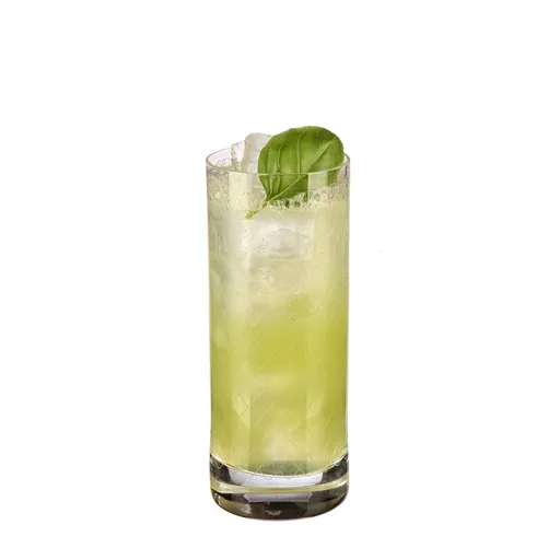 Black Basil