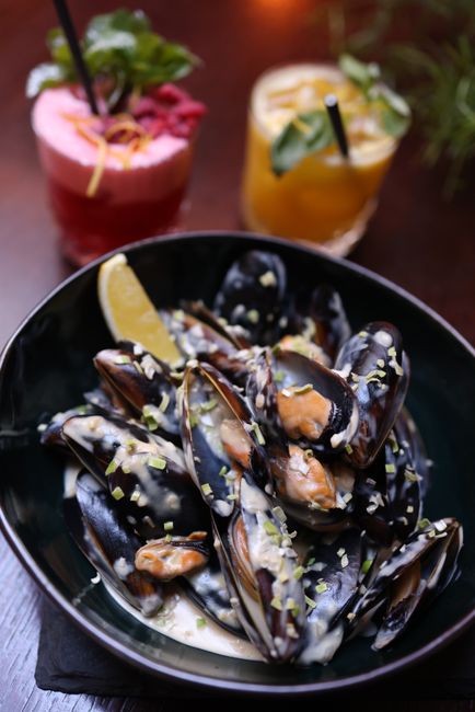 Black Mussel