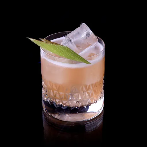 Celery Gin Sour