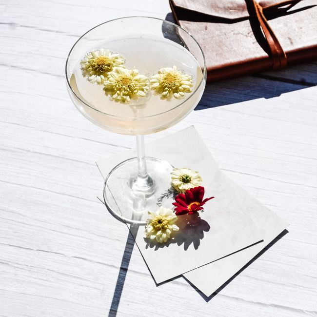 Champagne Daisy