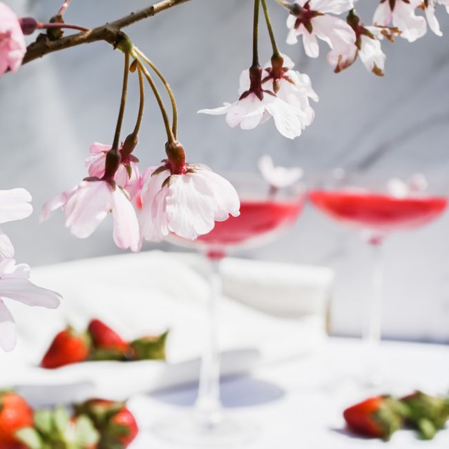 Cherry Blossom