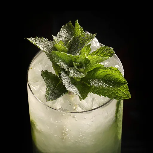 Coconut Mojito