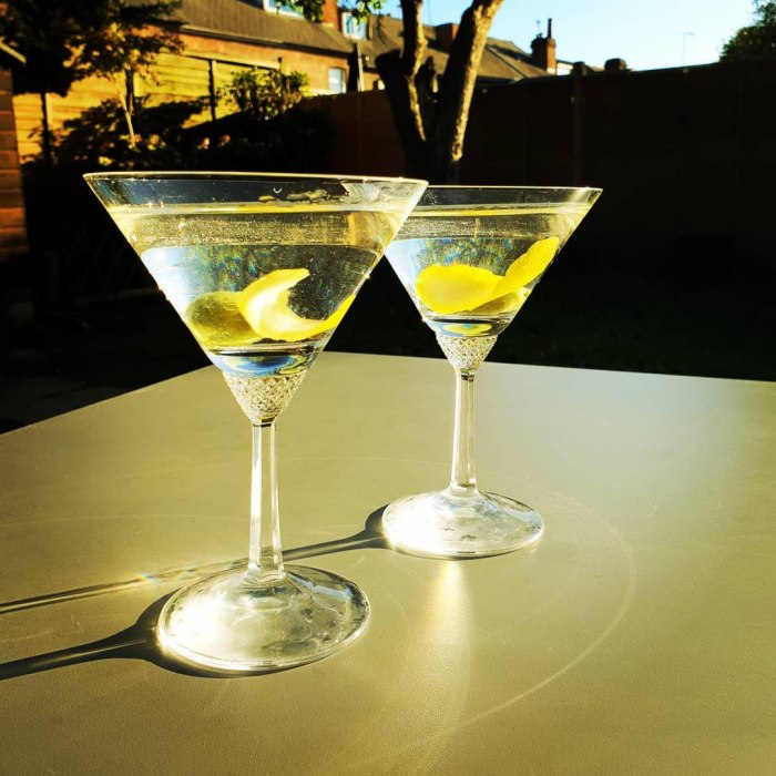 Dry Martini (15:5 dumped) Franklin