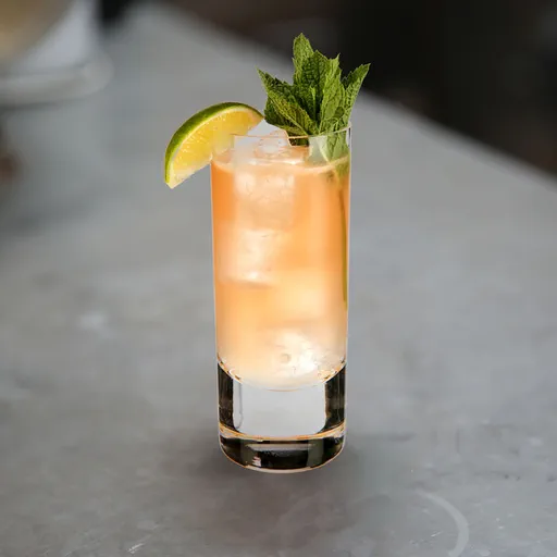 Dutch Mule