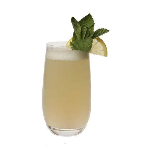 Elderflower Gin Fizz