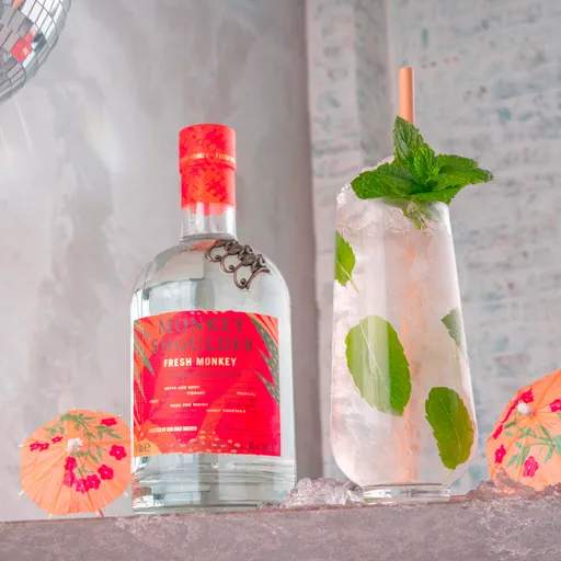 Fresh Mojito