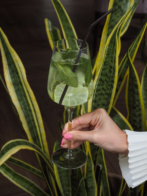 Gin Garden