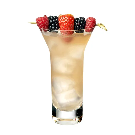 Gin Punch No. 2