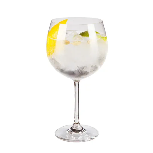 Gin Tonica