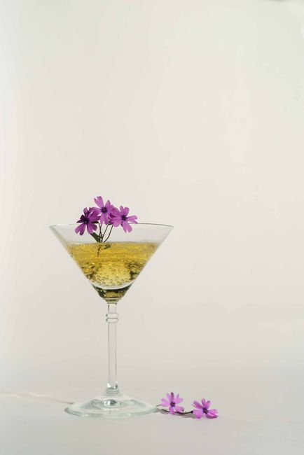 Golden Slipper