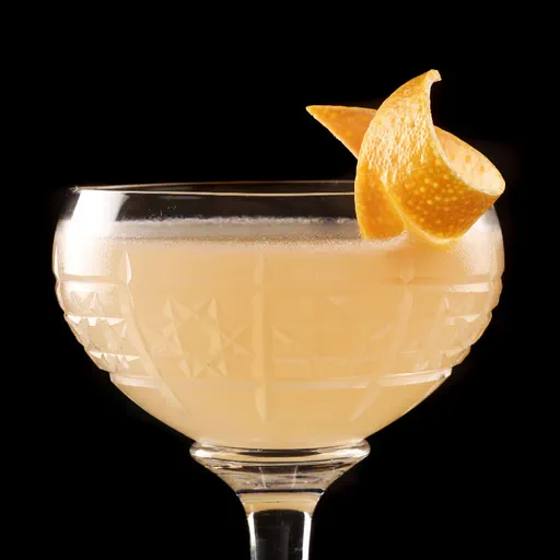 Grapefruit Gin Cocktail