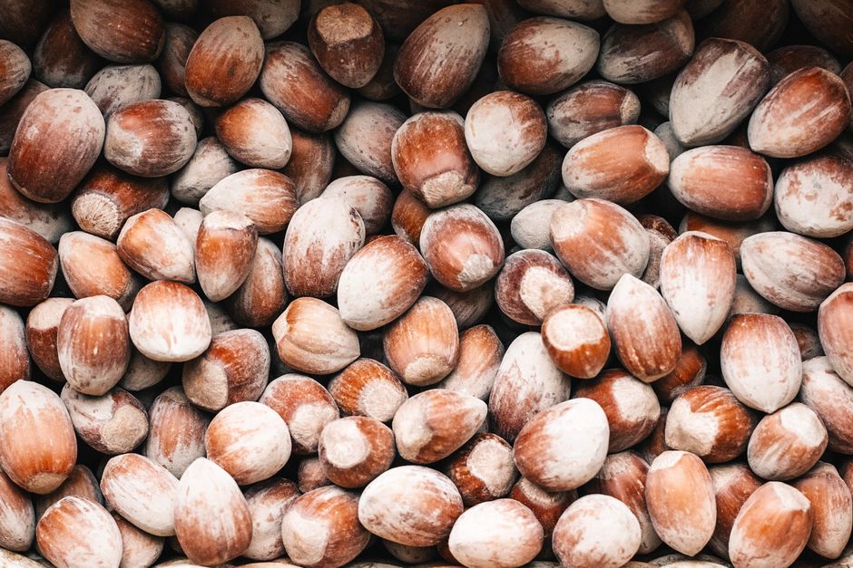 Hazelnut Alexander