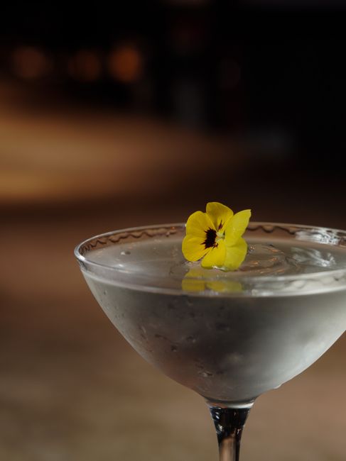 Iced Sake Martini