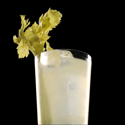 Loop Tonic