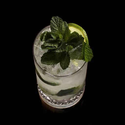 Marine Mojito