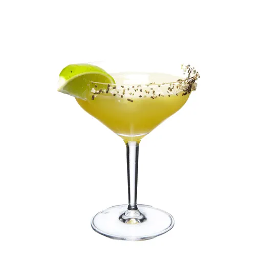 Maya Margarita