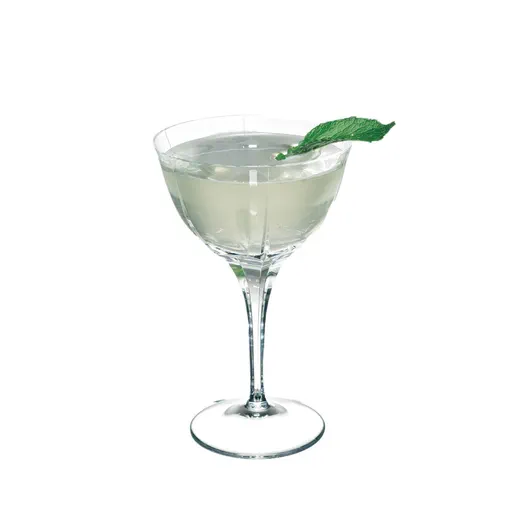 Mint Cocktail
