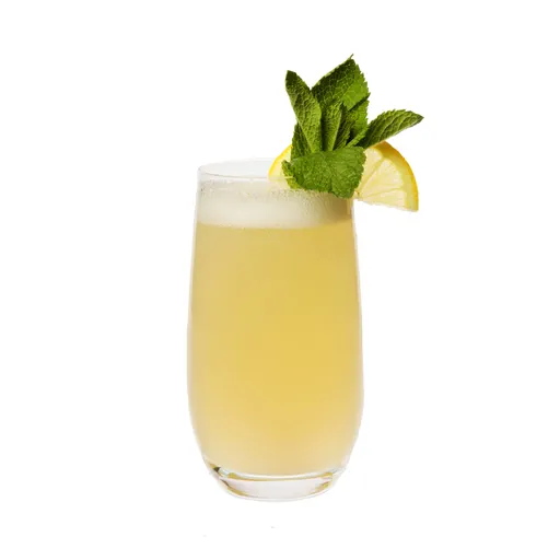 New Orleans Gin Fizz