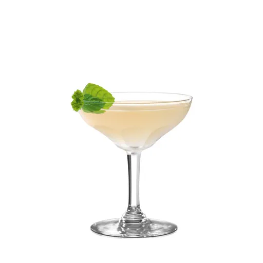Perfume Daiquiri