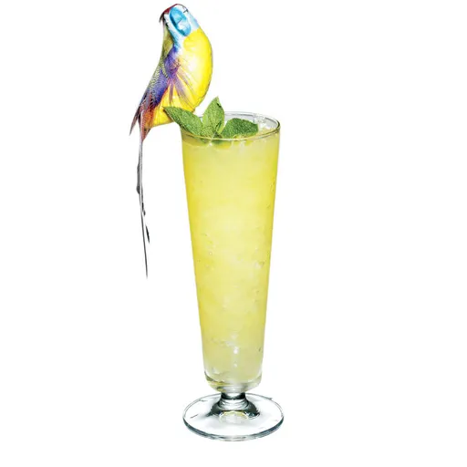 Potted Parrot
