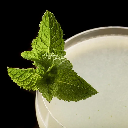 Sea Moon