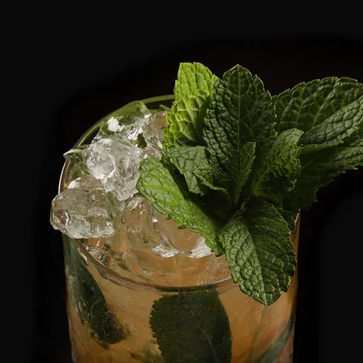 Temperance Amaro Mojito