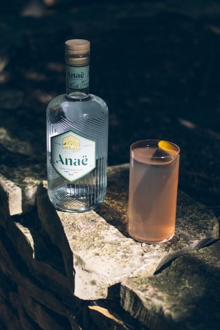 The Buck / Gin Buck
