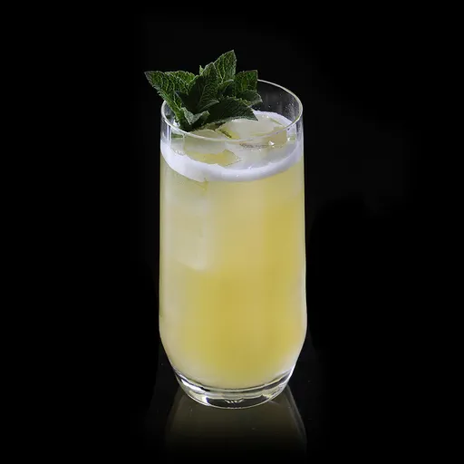 Tropical Racer