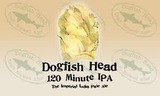 120 minute ipa